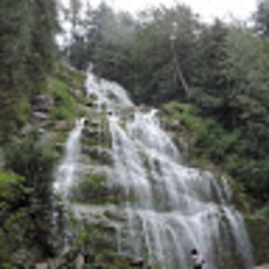 Meet your Posher, Holly